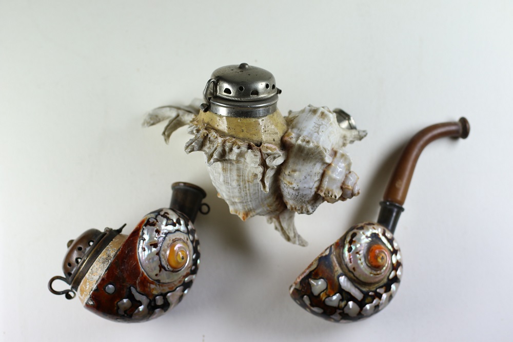 Three Unusual French Shell Pipes Image